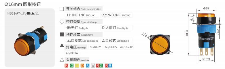 2024年报名入口官网公告