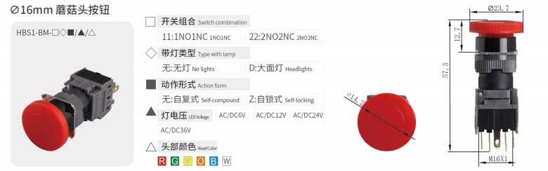 2024年报名入口官网公告