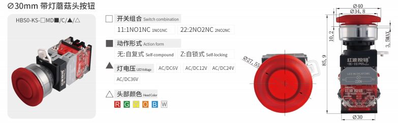 2024年报名入口官网公告