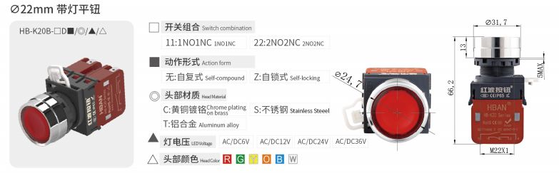 2024年报名入口官网公告